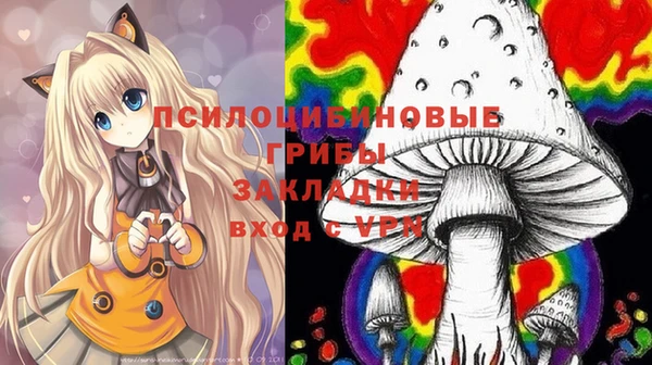 скорость Заводоуковск